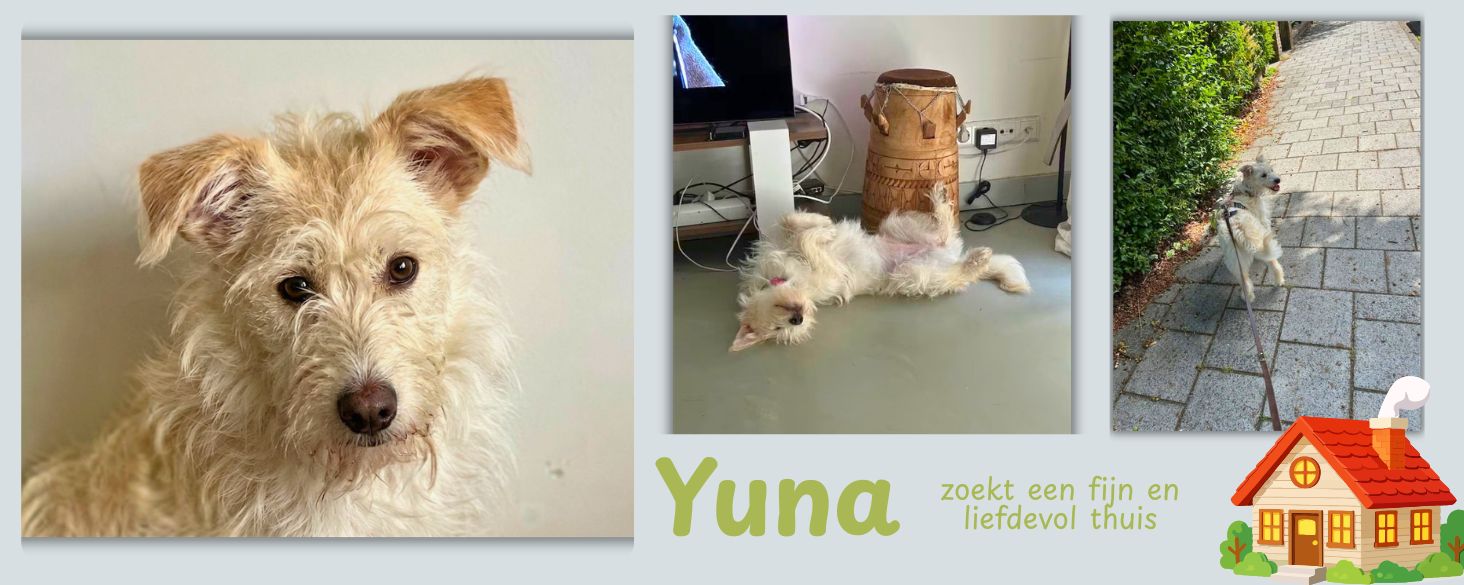 yuna ter adoptie